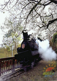 阿里山小火車
